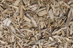 biomass boilers North Motherwell